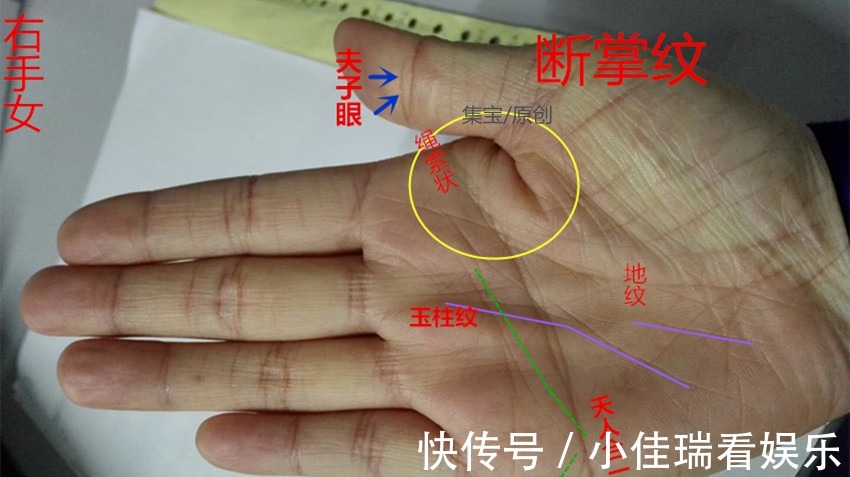 假断掌的女人命右手图