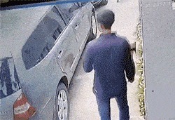 |搞笑GIF趣图:我究竟做错了什么,你要天天来盘我