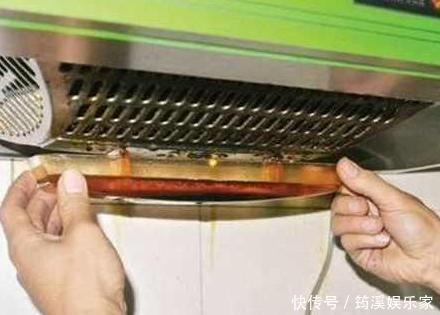 扦插|养花防治黄叶烂根、虫害有技巧6个小动作,让你应对游刃有余