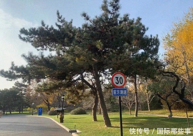 疫情|疫情下的众生,已见曙光的疫苗