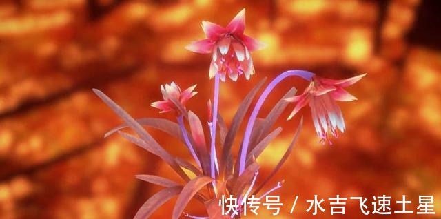 唐三|斗罗大陆独孤博害怕的三样东西,一样祖传无解,两样世间难寻