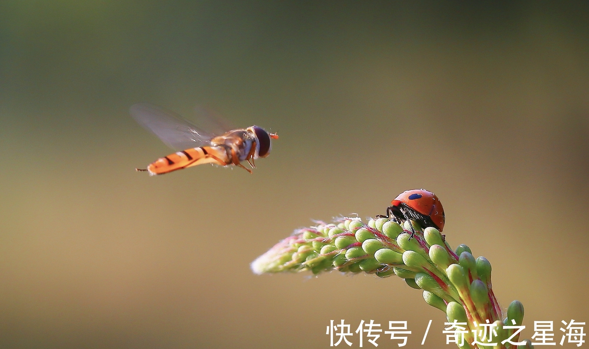 诗人&宋诗精华五首,其中一首是苏洵的压卷之作,值得一读