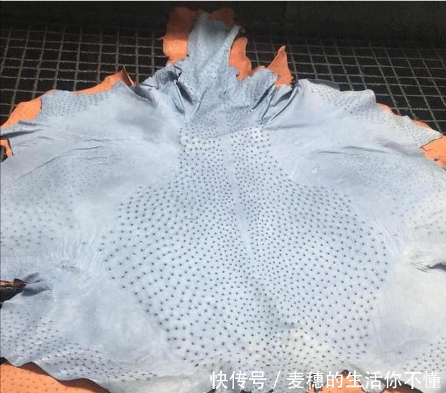  吃鸵鸟肉的人不多，为啥还那么多人养原来还有这些用途