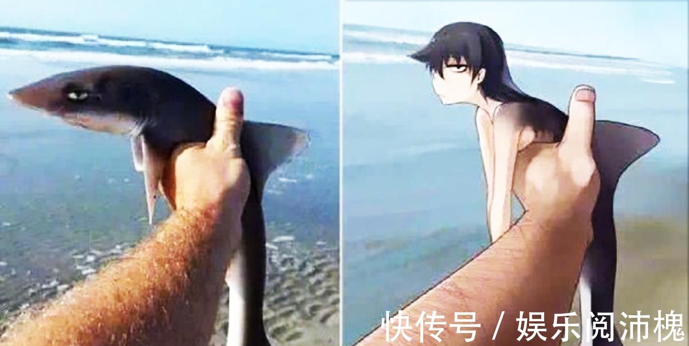 当动物被画师二次元化,可盐可甜可帅气,还是纸片人更让人心动