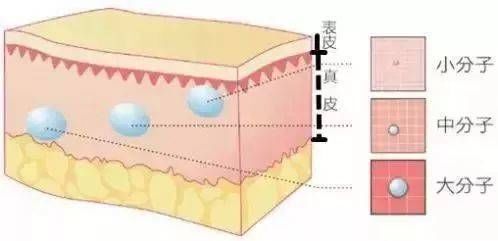 分子|济南海峡整形分享：注射玻尿酸和水光里的玻尿酸有什么区别？