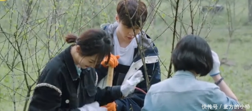 张艺兴 辟谣还是逼婚?黄磊:艺兴30岁和杨紫不正合适?回:不懂爱!