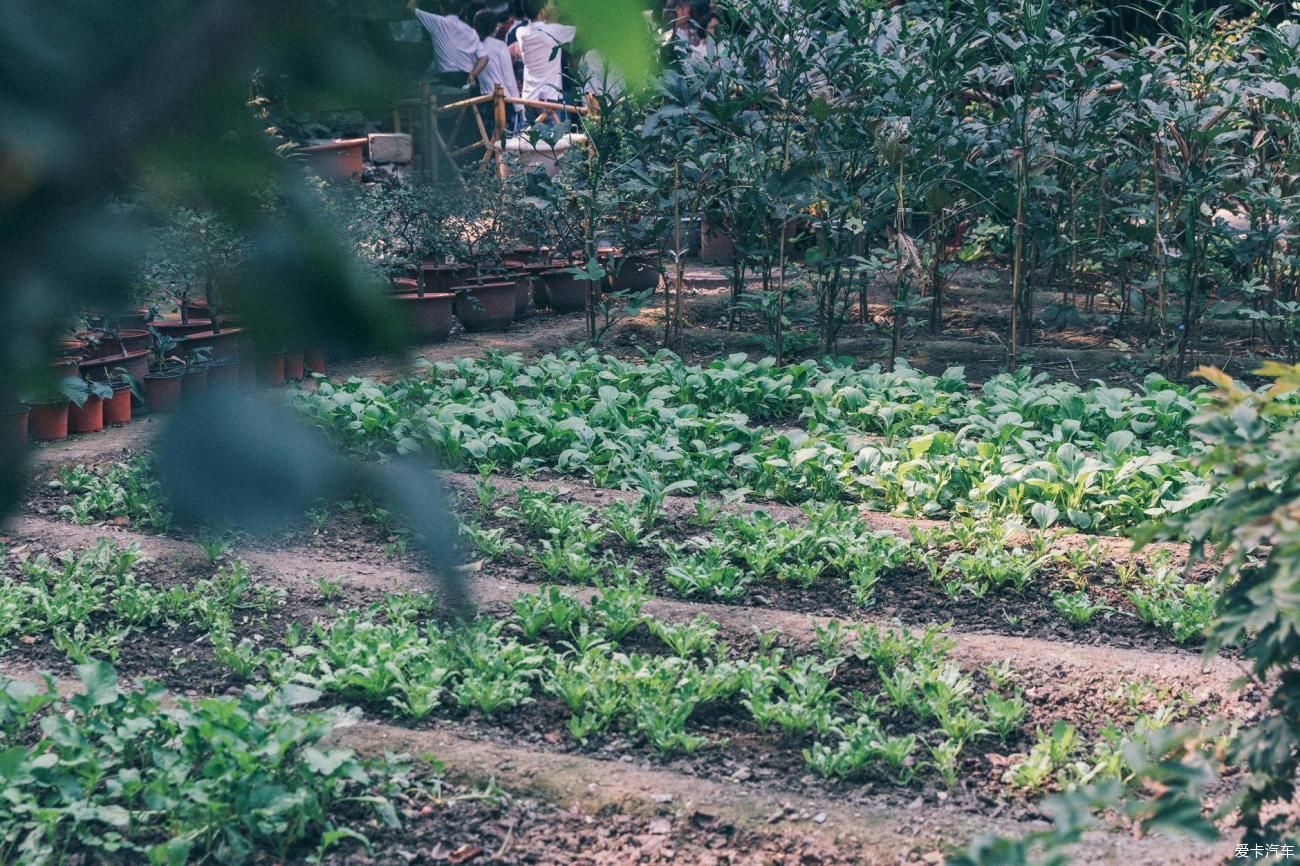 中薪|品味京城探索皇室与市井