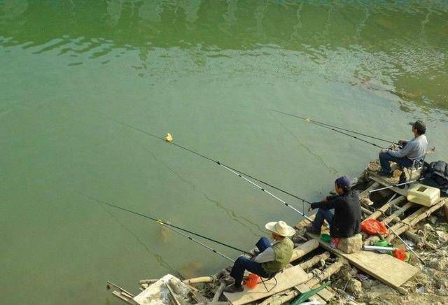 用这种饮料做窝饵，夏钓草鱼效果超棒