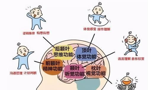 发号施令|孩子这3种“臭毛病”，可能是“双商高”的表现，家长别盲目纠正