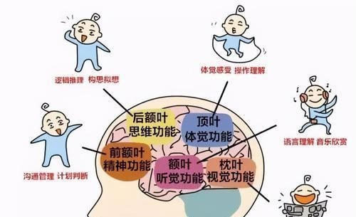 发号施令|孩子这3种“臭毛病”,可能是“双商高”的表现,家长别盲目纠正