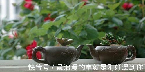 苡仁米|脾虚令女人加速衰老，为了变更美，切记多吃此些食物，来了解下