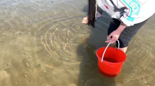 夏天,碰到此肉别手软,一次性囤30斤,放冰箱冻起来,特省事