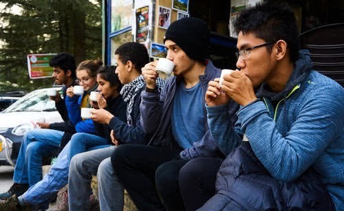 饮茶|印度茶VS中国茶，印度人喝茶到底有什么不同？