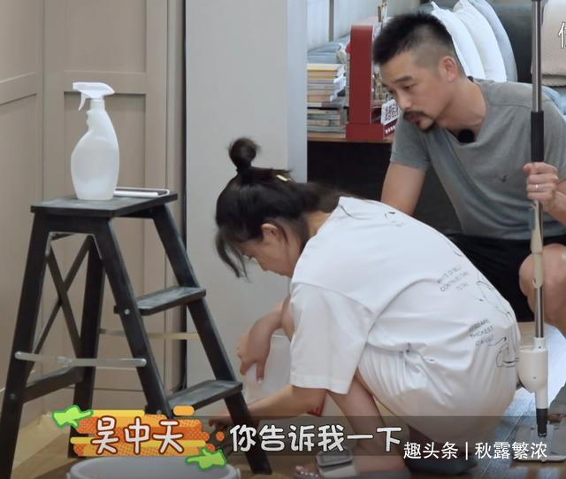 吴中天|杨子姗的家大又干净,给工作人员消毒洁癖严重,郎朗人脏点挺好