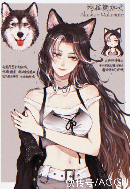 拟人|狗狗化身动漫美少女，萨摩变成白毛御姐，短腿柯基好俏皮