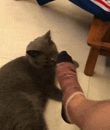 |笑话:当你在减肥时是不是总有这样的朋友