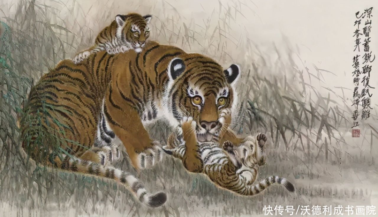 康熙年间|历代名家画虎欣赏，形神兼备