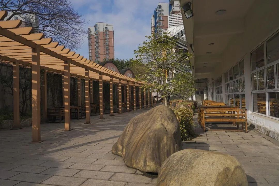 古城|春到同济！太（you）爱（fu）了（li）！