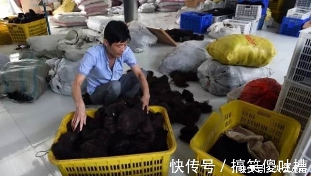 地方|我们剪掉的头发,并没有烧掉,最终是送去了这个地方