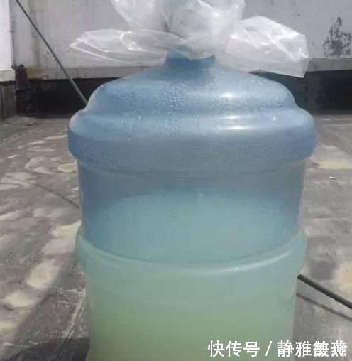 家中养花,这5毛钱的小东西别乱丢,能让花蹿到2米高,你知道了吗