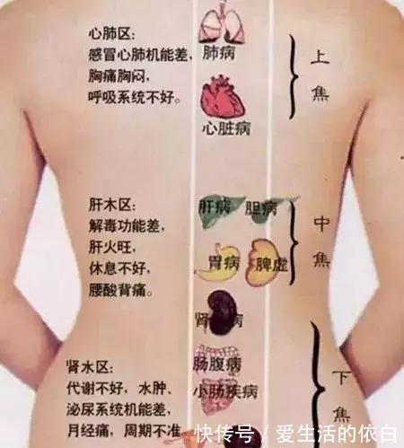 疑难杂症|搞懂了人体的“三焦”,所有疑难杂症,都可迎刃而解,建议收藏!