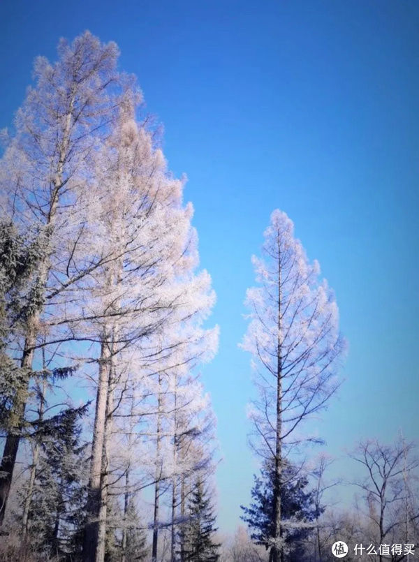 秘密|这个地方的秋天，是傻狍子都不想分享的秘密