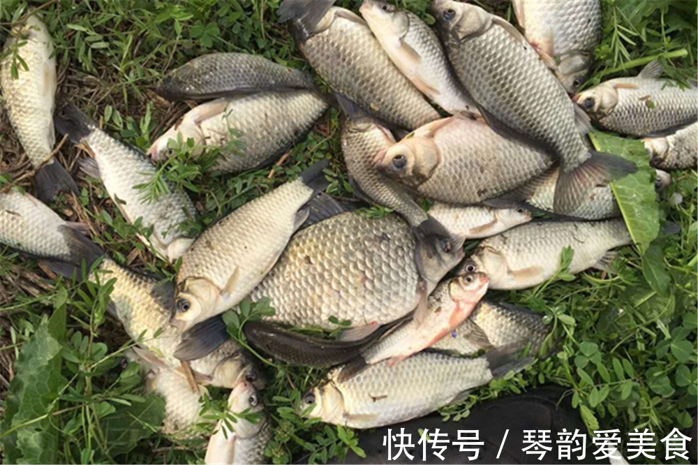 晚秋钓鲫鱼,找到鱼窝的3个步骤,按照步骤来,成功几率十之八九