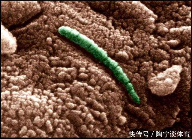 火星再现3个卤水湖，水如此丰富，科学家：地外生命“近在眼前”