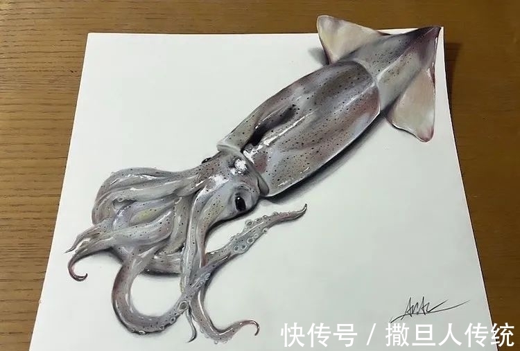 三维动物#纸上有一条鲶鱼,拿起来才发现不对劲,网友:这不是真的?