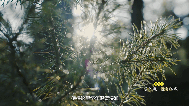 遇见|遇见非遗 | 都是酱，凭什么它叫“川菜之魂”？