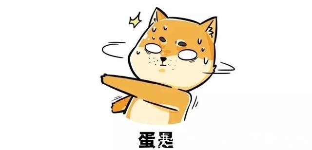 轿子|单身究竟有多幸福,看完这篇娶亲指南我终于懂了