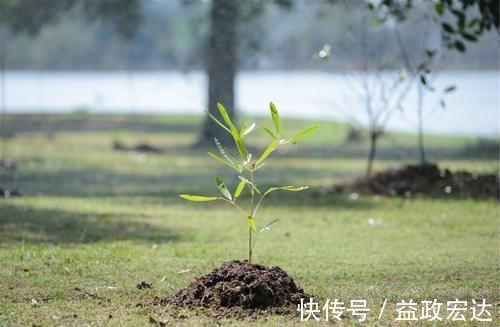 左邻右舍们|孩子就像小树苗，这些容易食积的食物，孩子脾胃娇弱，父母要了解