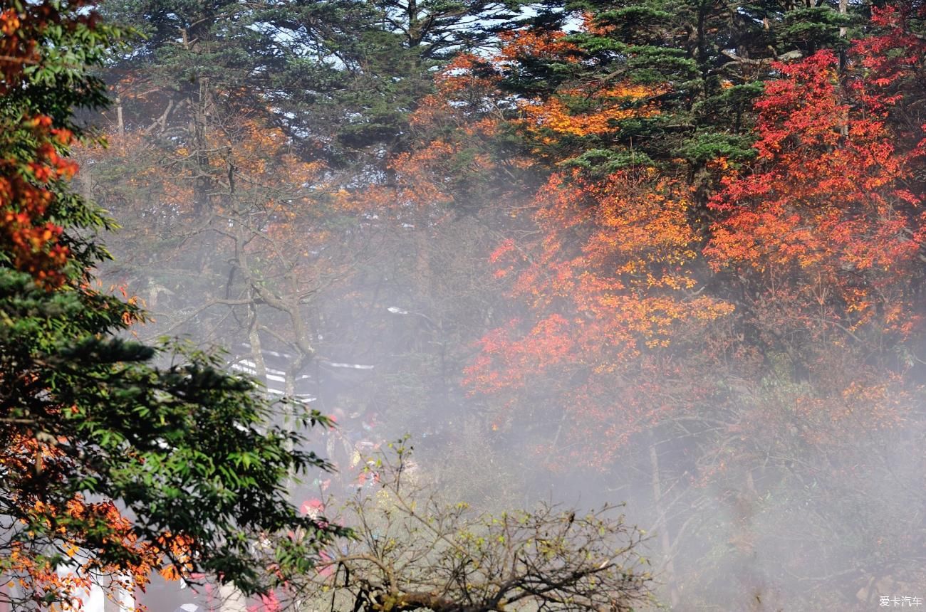 牛年逢春：云山林海領秀了大美峨眉山