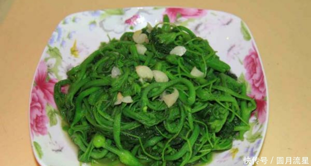 农村|农村喂猪的野菜,预防贫血,排毒养颜,功效多多,你认识吗