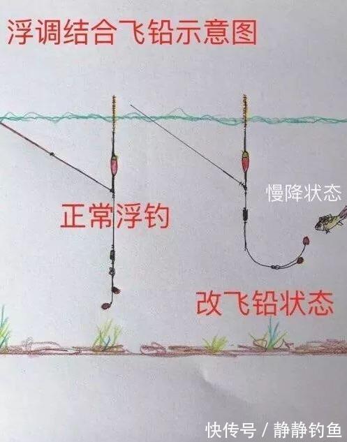 铅坠有这些用法,知道的人不多,会用的人更不简单,现在学还不迟