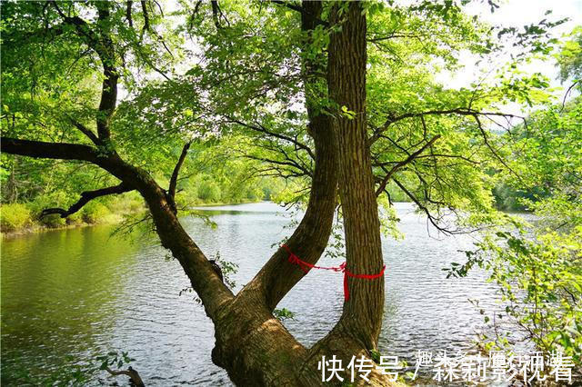 长白山|长白山深处被忽略的景区,鸳鸯池上没鸳鸯，但美的好像一幅画