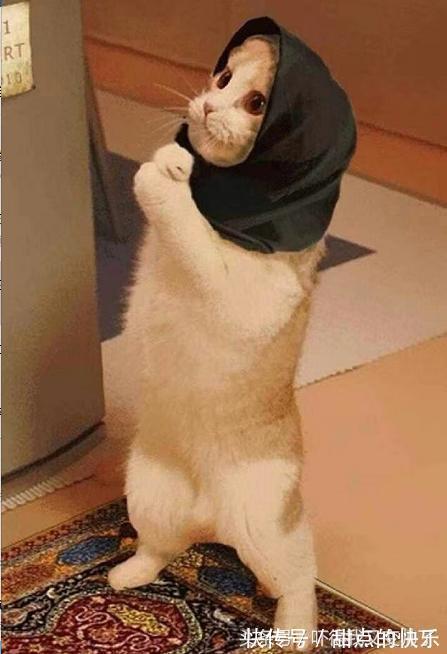 |幽默段子:我和老婆已经结婚十多年了,有一个五岁的闺女