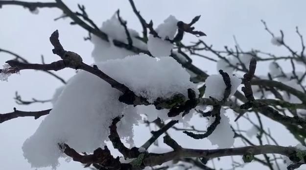 万州：白雪皑皑 正是赏雪好时节