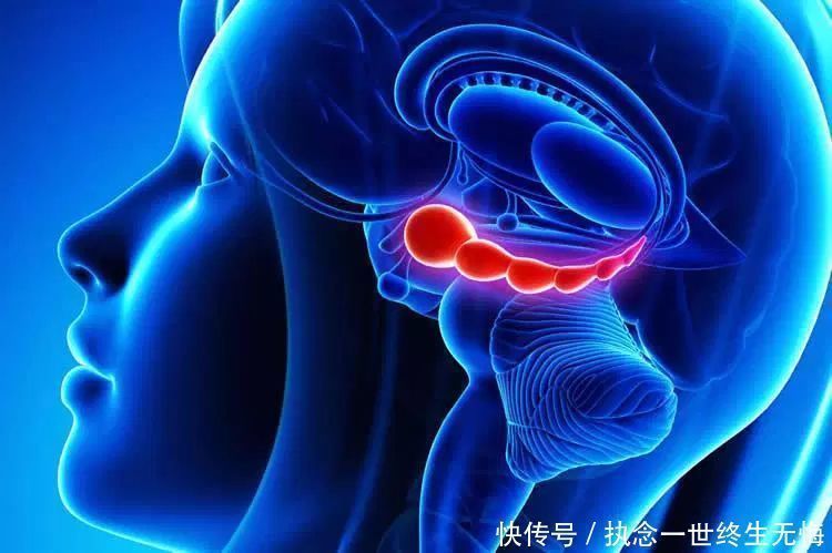 记忆力|大脑最喜欢的4种食物，核桃仅排第3，孩子常吃，记性好脑子聪明