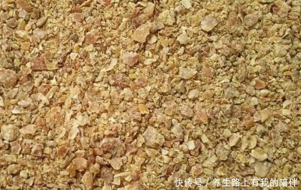 元素肥|家中文竹长得慢、叶子焦黄花土中放上它们,1周黄叶返青蹭蹭长!