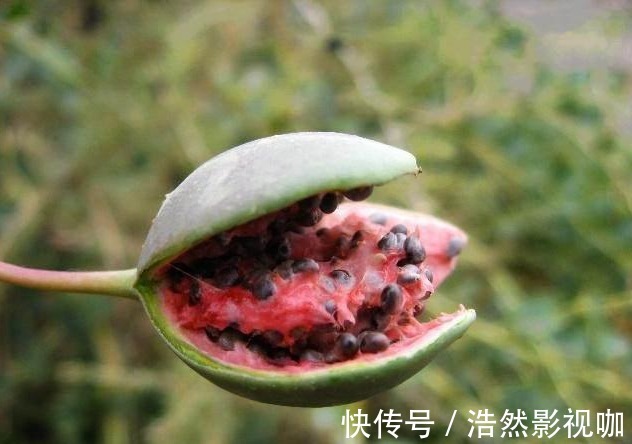 非物质文化遗产|外公一个小方法轻松解决，治疗风湿方法就在身边！