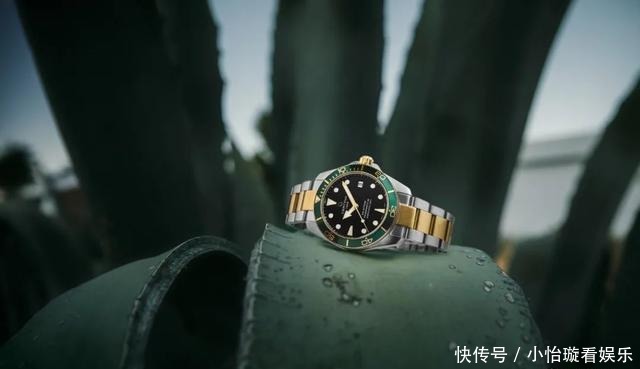 潜水|万元预算选手表的三种可能