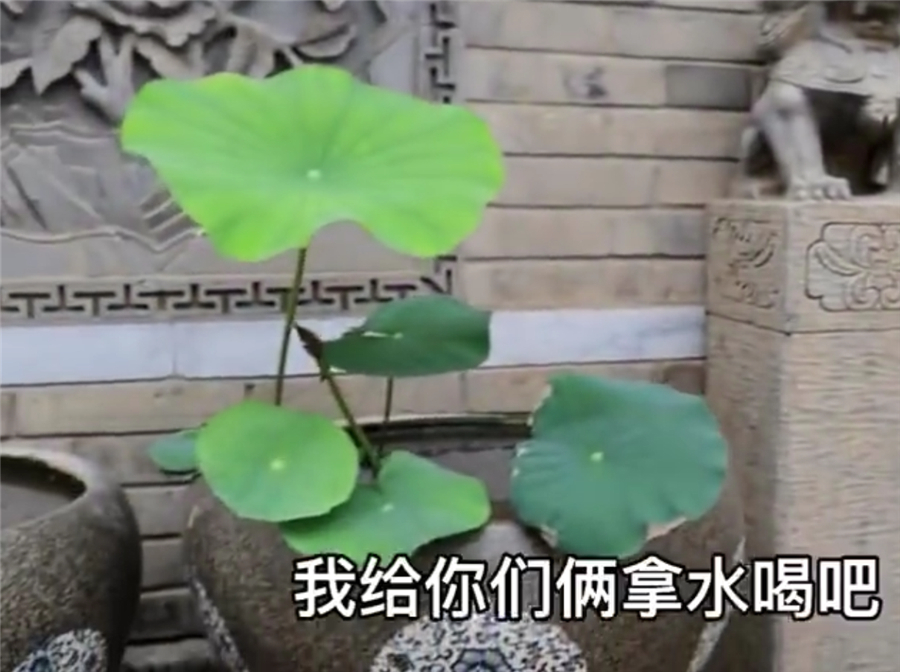 博主|北京胡同土豪大爷27㎡蜗居,红木家具配古董,凡尔赛级的小房子