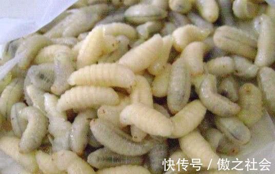 胶原蛋白|皱纹“害怕”的几种食物，女人常吃，补充胶原蛋白，越吃越年轻