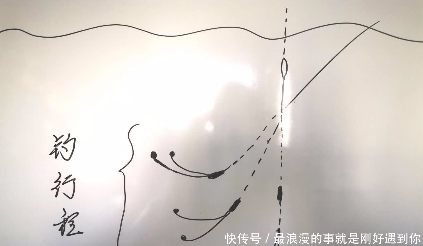 饵料|为什么太阳出来后,鱼就停口了?解析温度升高水中缺氧的作钓技巧