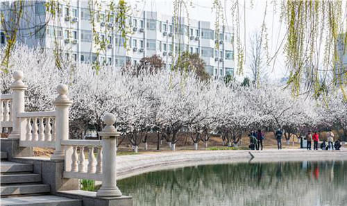 淄博最好的大学，山东理工大学春暖花开，大学风景可以如此美丽