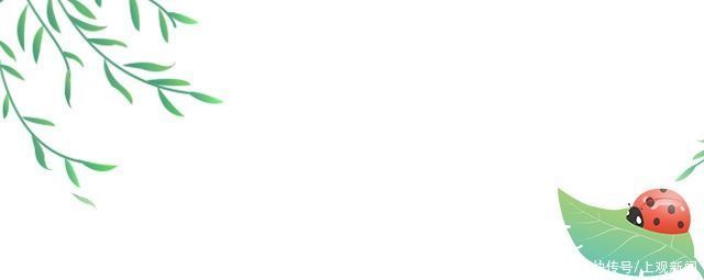 春季养生十五茶