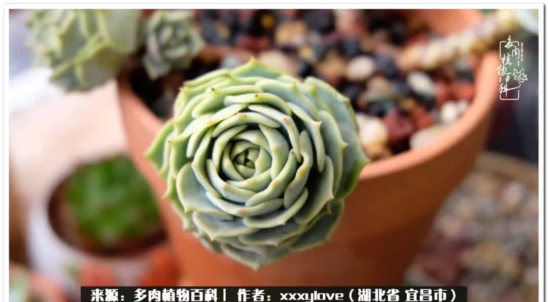 时光匆匆,一闪而逝,这世间万物的美,都值得被记录!