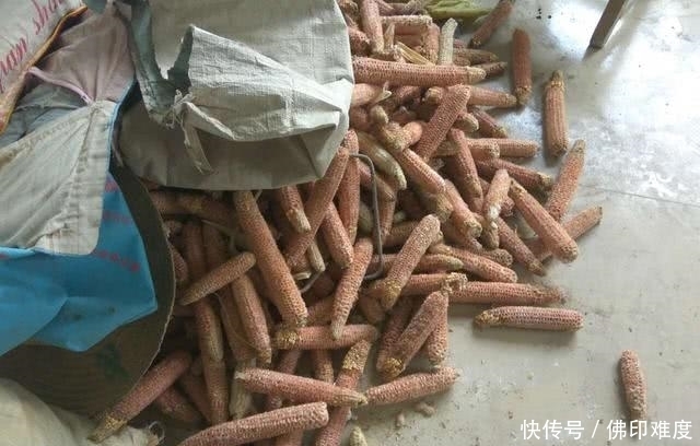 在农村不要的东西还可以拿来做养花的肥料,你们知道是什么吗?