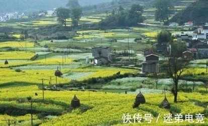 深巷&两首描绘田园生活的诗作,恬淡淳朴,却表达出不同的心境